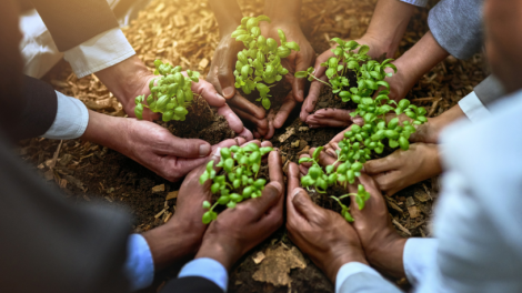 Paulo Augusto Berchielli