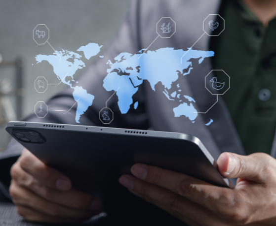 Alfredo Moreira Filho