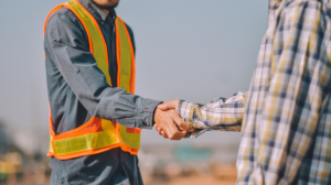 Renato de Castro Longo Furtado Vianna